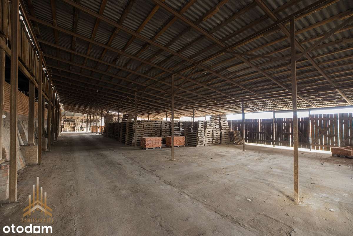 Teren inwestycyjny uzbrojony+budynki - pow. płocki-17