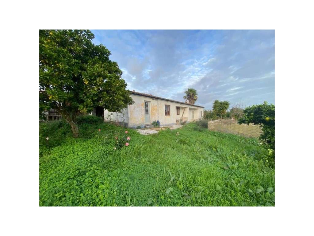 EXCLUSIVO! Quinta com Enorme Potencial no Coração do Alentejo Um Re...-31