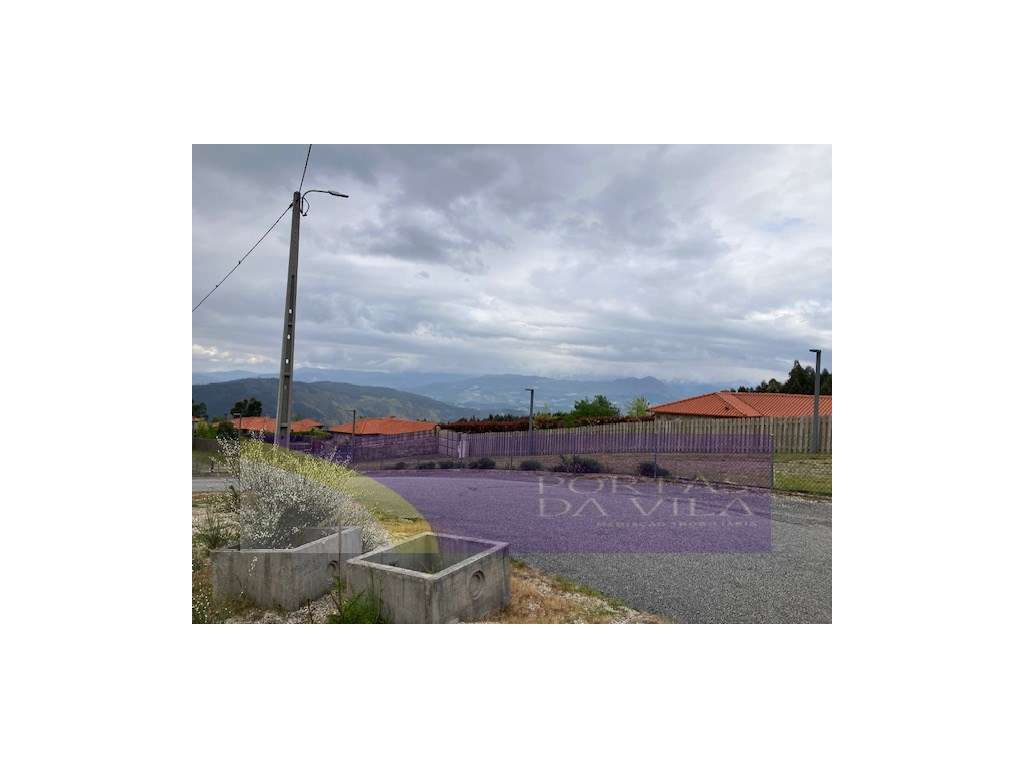 Terreno, Celorico de Bastos-11