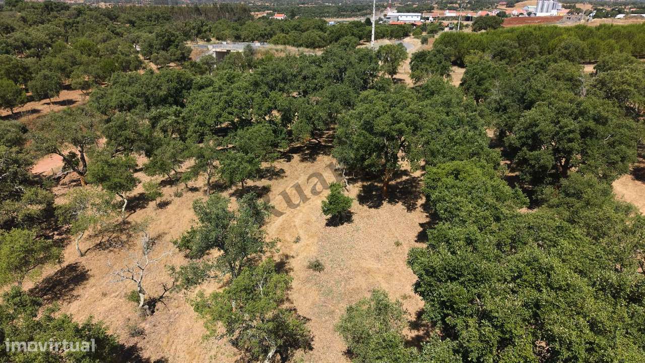 Monte Alentejano com propriedade de 13 HA-17