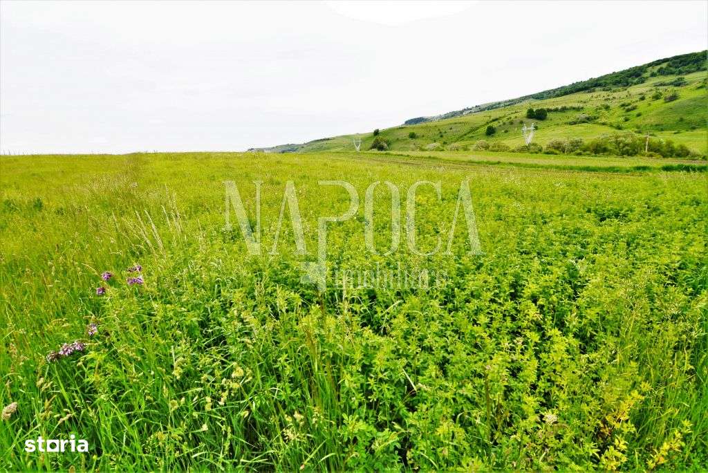 Teren extravilan pentru constructii de vanzare in Popesti - Imagine principală: 4/5