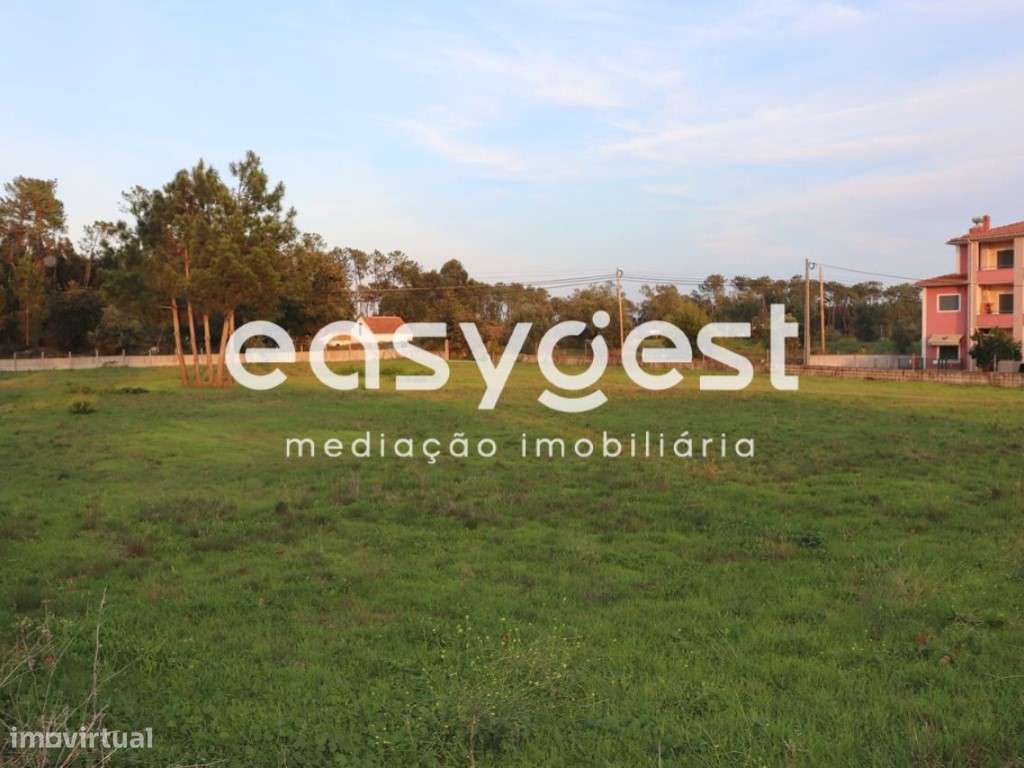 Terreno c/ 3680m2 no Louriçal - Grande imagem: 5/6