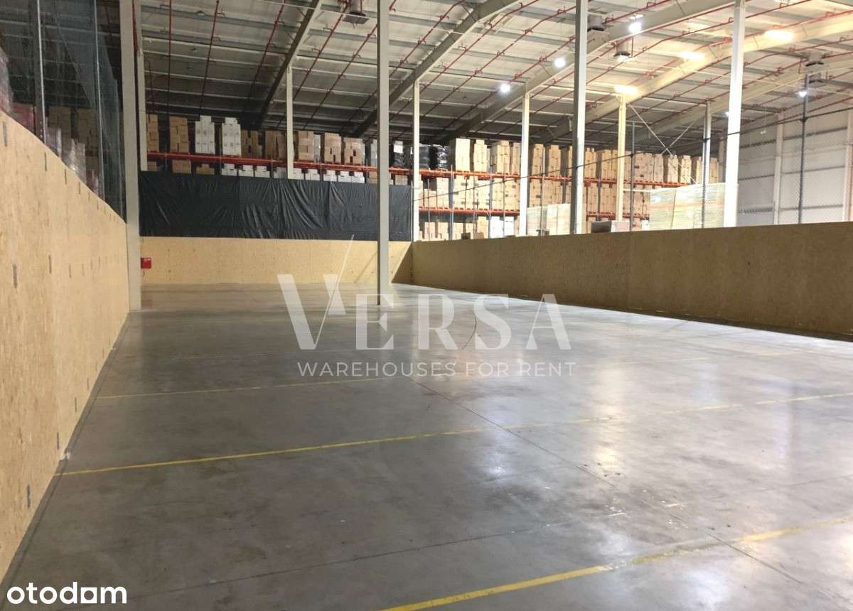 Magazyn 1140 mkw - 0% Prowizji - Pełny obrazek: 4/12