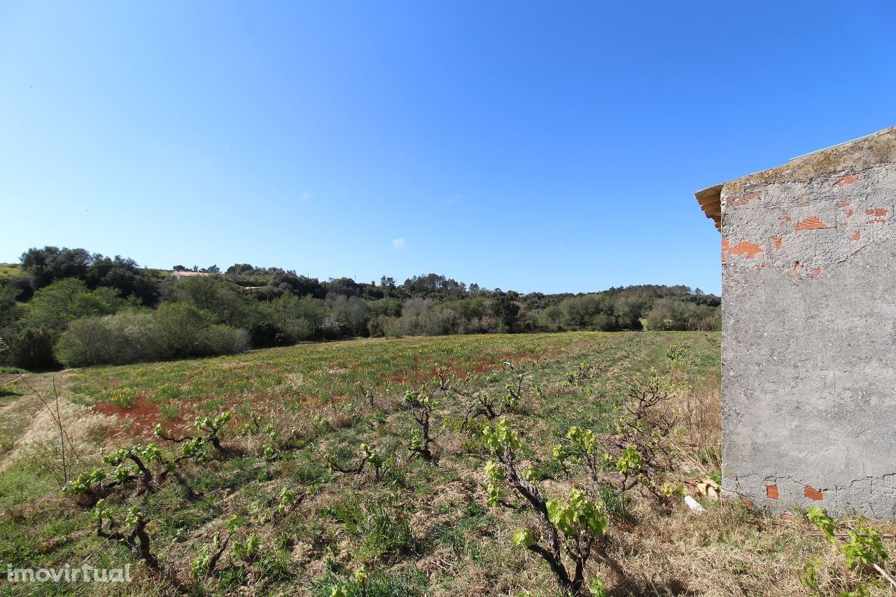 Terreno Rústico com 1,7ha, Carrascalinho, Aljezur