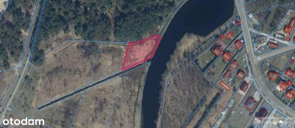 Działka, 10 381 m², Aleksandrówka - Pełny obrazek: 5/6