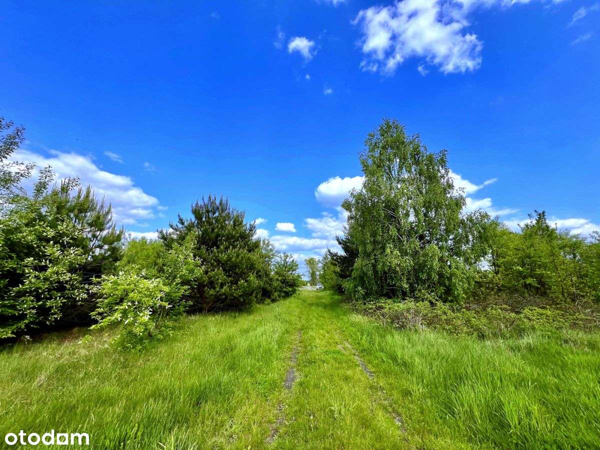 Sielsko i inwestycyjnie – 1,4 ha blisko Warszawy-11