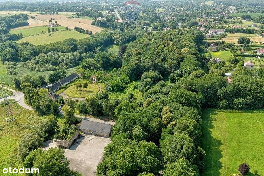 Zapisz się na kartach historii rodziny Szembeków! - Pełny obrazek: 5/18