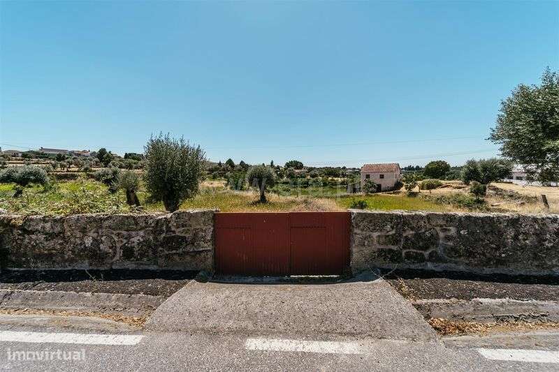 Quinta / Seia, Paranhos - Grande imagem: 4/17