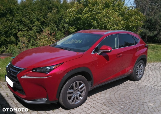 Lexus NX - 2