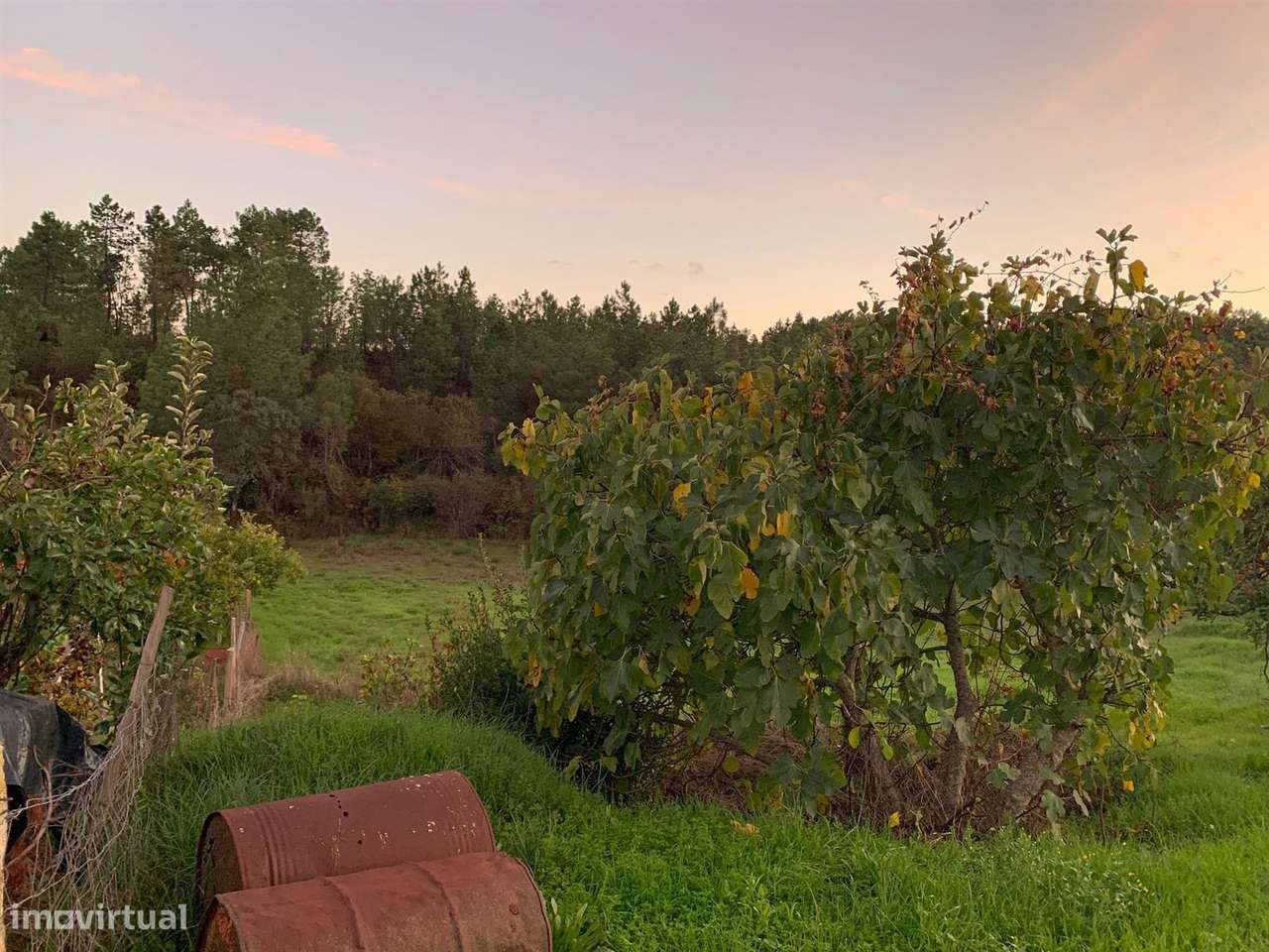 Quinta - Grande imagem: 2/14