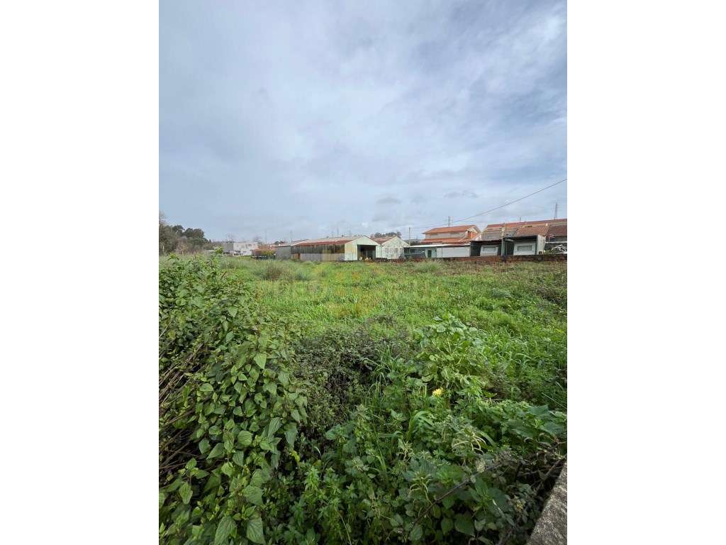 TERRENO PARA CONSTRUÇÃO DE MORADIA COM 1.970 METROS 
 SERZEDO - Grande imagem: 4/7