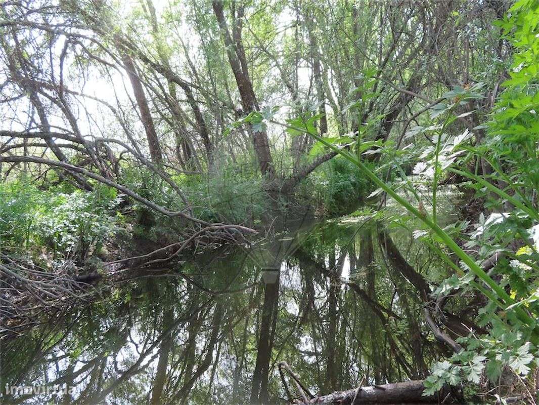 Quinta  para venda - Grande imagem: 4/30