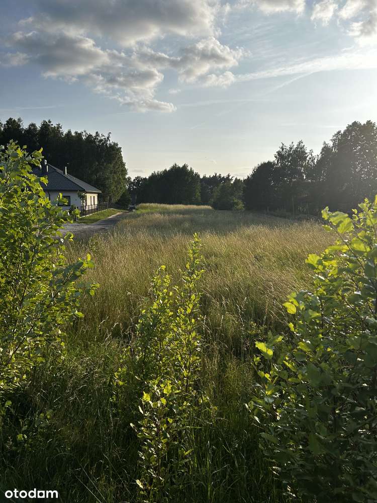 Działka  4410m2 Felinów-Osjaków w okolicy rzeki Warty. - Pełny obrazek: 5/6