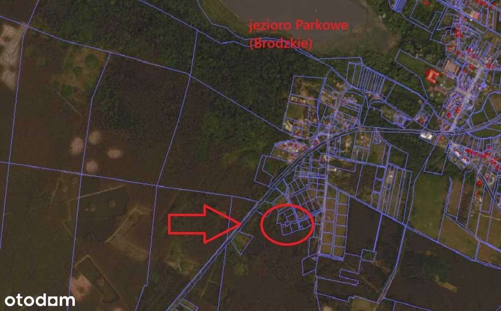 Działki w pobliżu Pałacu Bruhla w Brodach - Pełny obrazek: 4/7