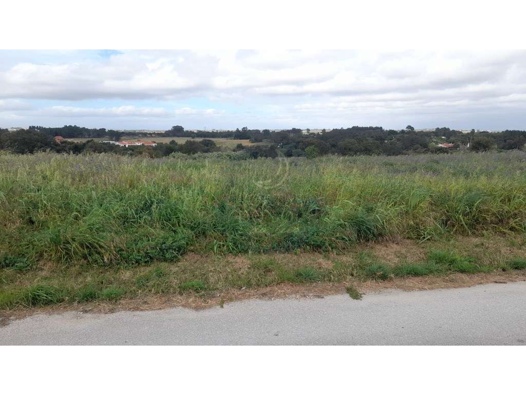 Terreno de 3.700 m2 p moradia unifamiliar - Grande imagem: 2/4