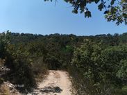 Herdade , montado, sobreiros cortiça, quinta, monte. - Miniatura: 37/59