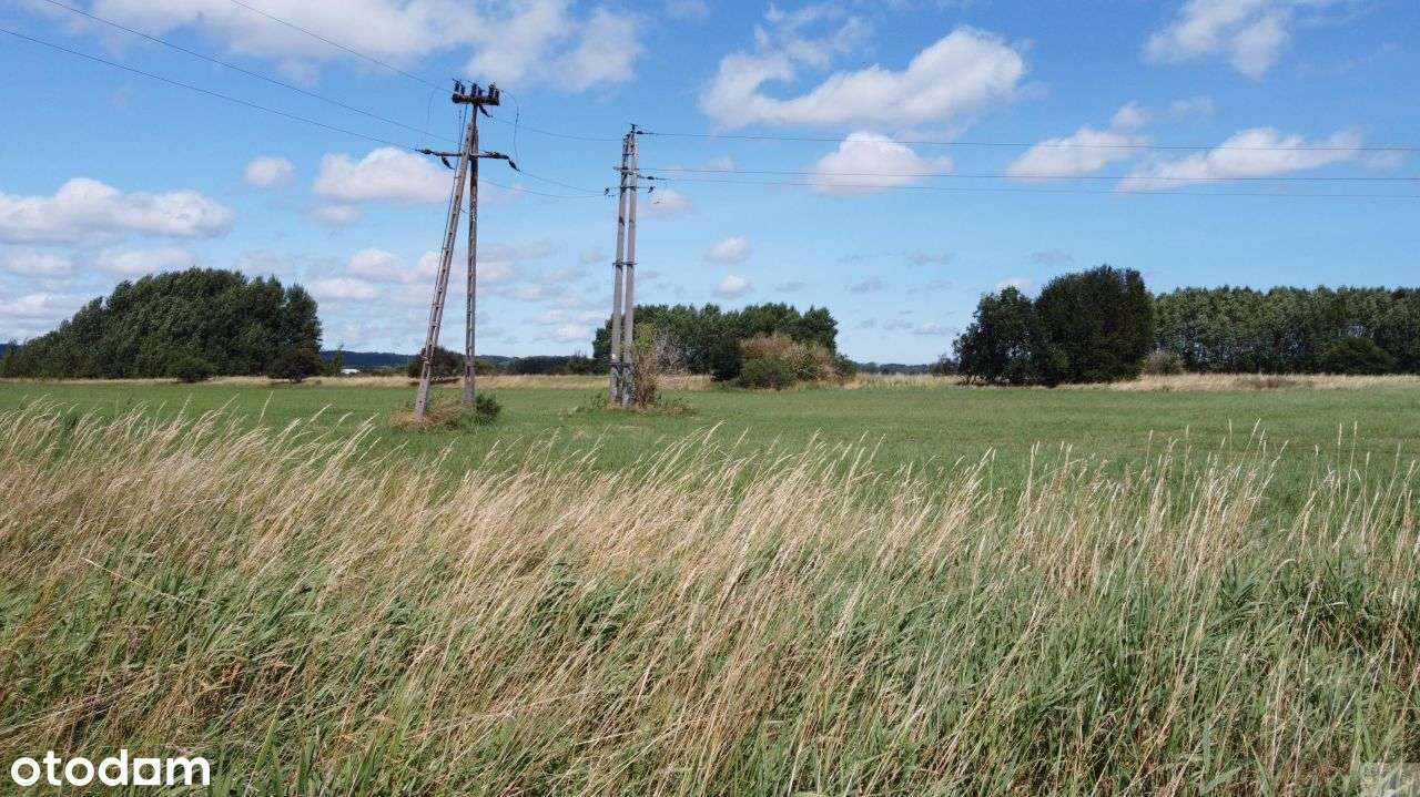 Działka inwestycyjna w Redzie – atrakcyjna lokaliz - Pełny obrazek: 5/16