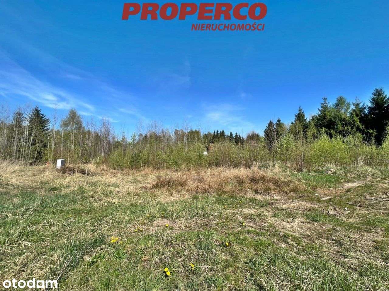 Działka 1035 m2, Ciekoty gm. Masłów - Pełny obrazek: 4/7