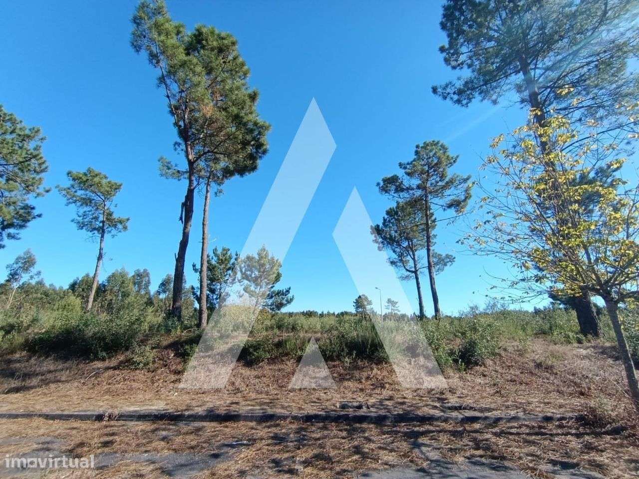 Lote de terreno para construção em Ílhavo junto ao rio Boco - Grande imagem: 5/9