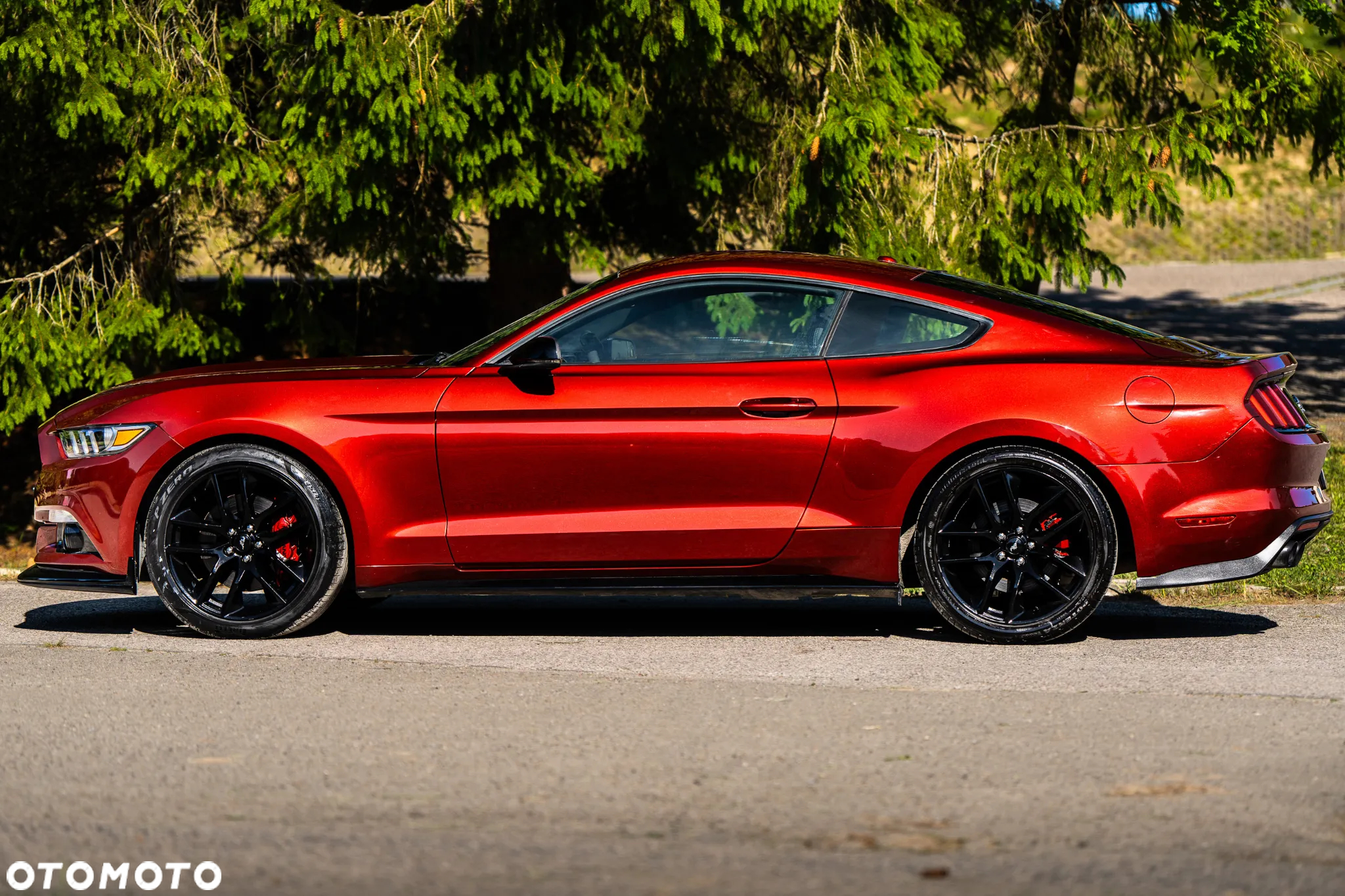 Ford Mustang - 6