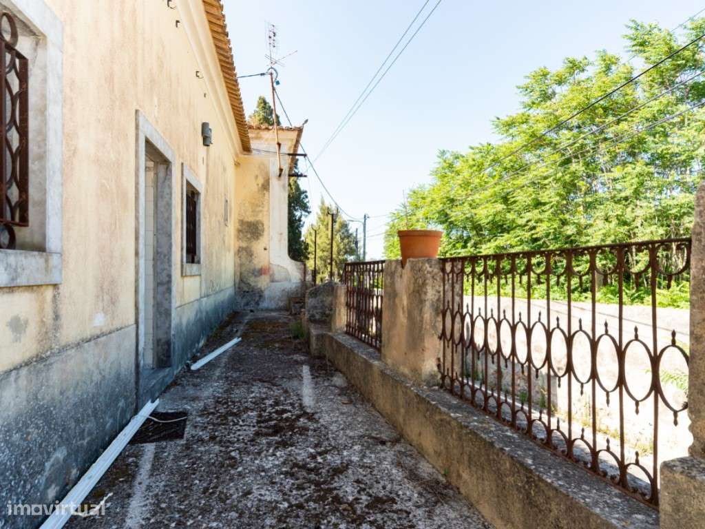 Quinta antiga, 13 ha, Investimento, Setúbal - Grande imagem: 5/39