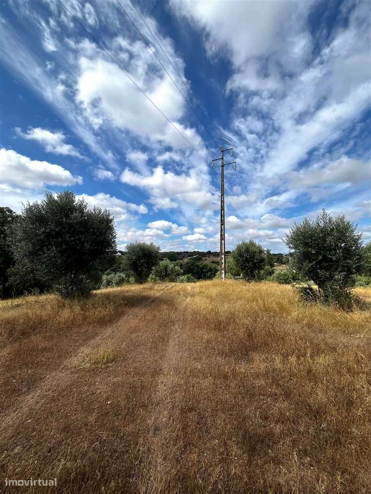 Quinta >=T10 Venda em Cortiçadas de Lavre e Lavre,Montemor-o-Novo-52