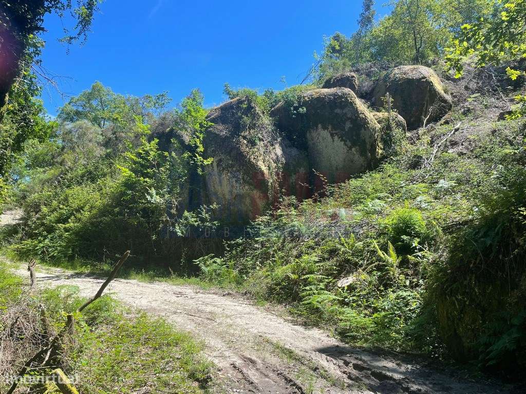 Terreno em Soengas - Caniçada (Gerês) - Grande imagem: 3/18