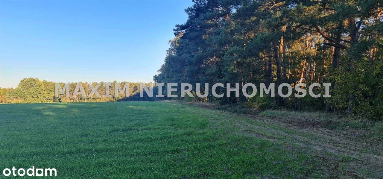 Piękne działki w miejscowości Zaręby - Pełny obrazek: 4/12