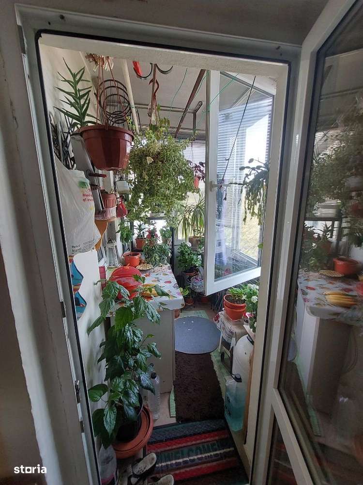 Vânzare apartament 2 camere - zona Malu Rosu (Simache)-14