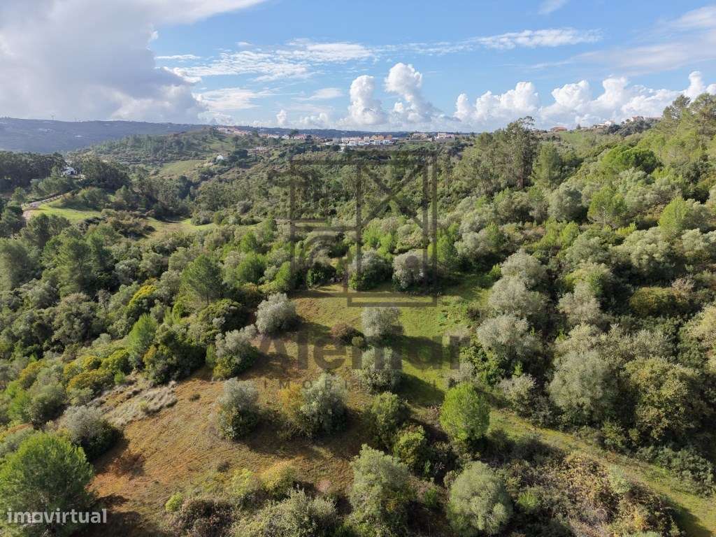 Oportunidade Única de Investimento Agrícola em Alenquer-16