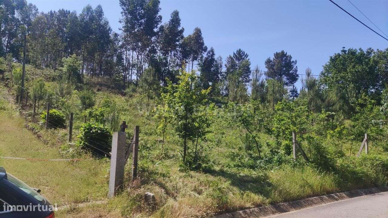 Terreno com 3.360 m2 em Arnozela - Grande imagem: 5/14