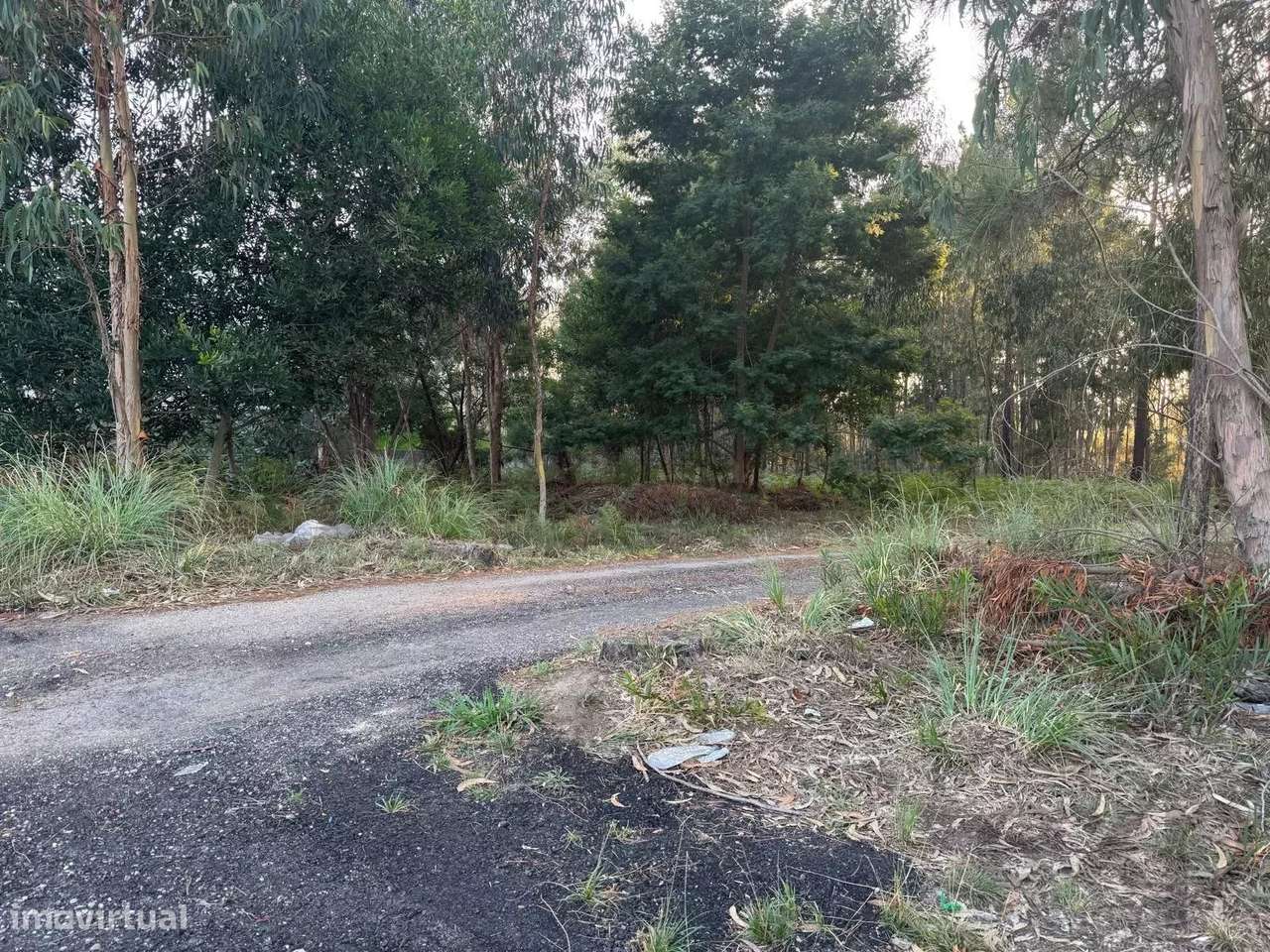 Terreno para armazém em ZI referência - Grande imagem: 4/5