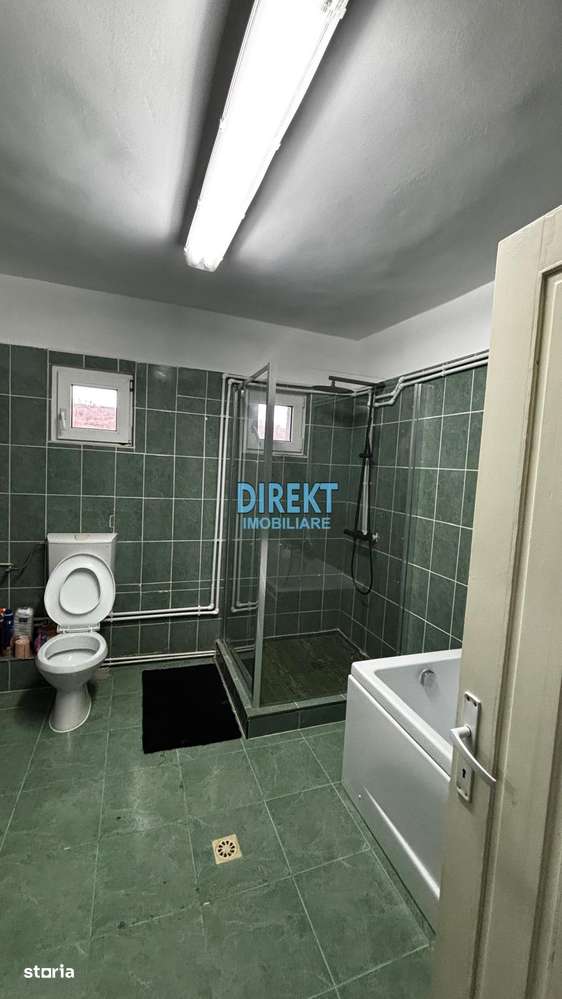 CASA VIIȘOARA DN 17-10