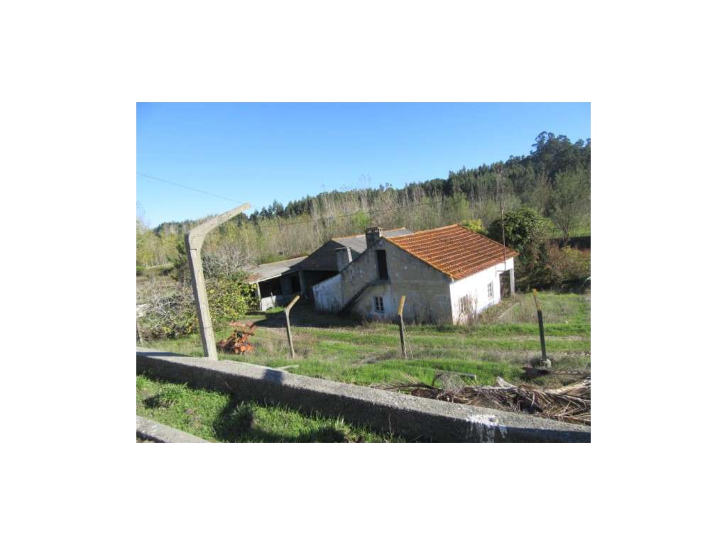Quinta em Moinhos de Carvide / Monte Real - Grande imagem: 5/31