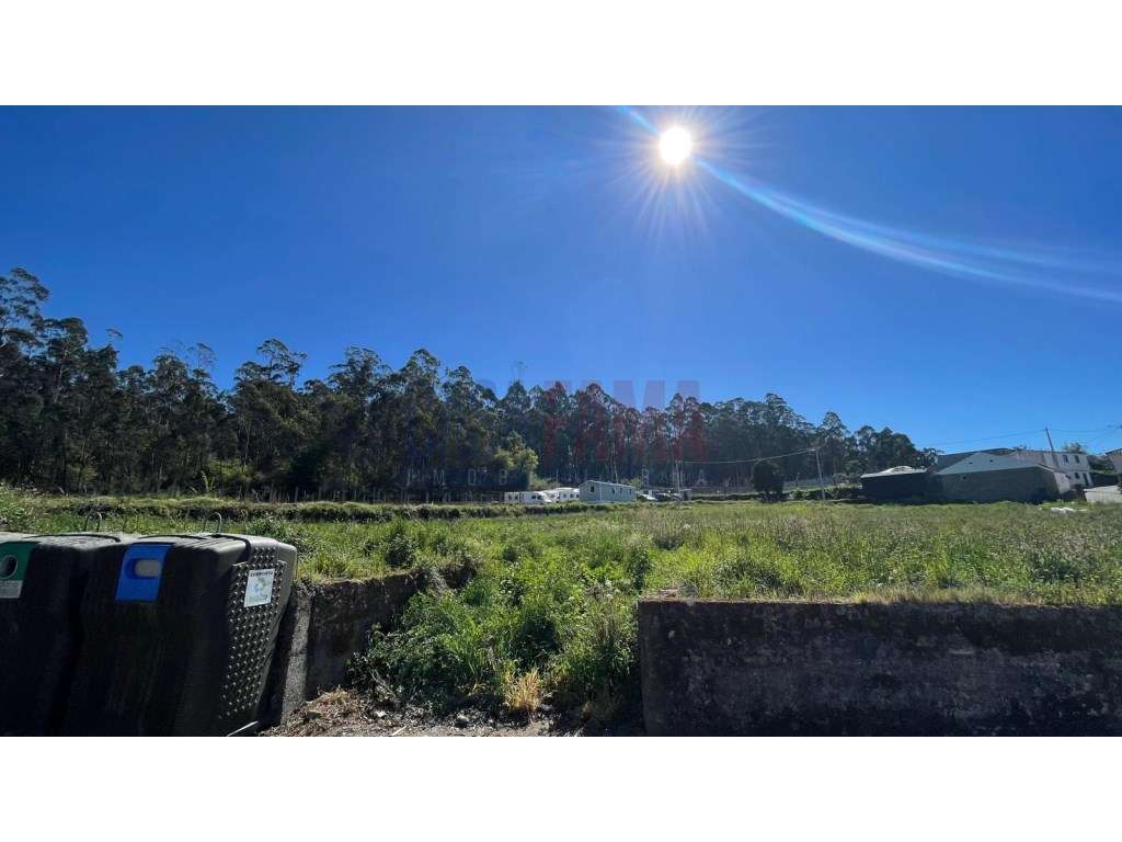 Terreno Agrícola à Venda em Pereira, Barcelos - Grande imagem: 4/17