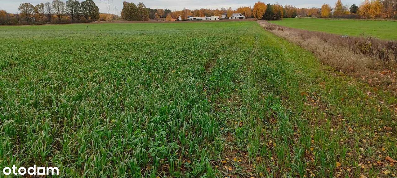 Działka Józefów . TEREN POD ZABUDOWĘ JEDNORODZINNĄ