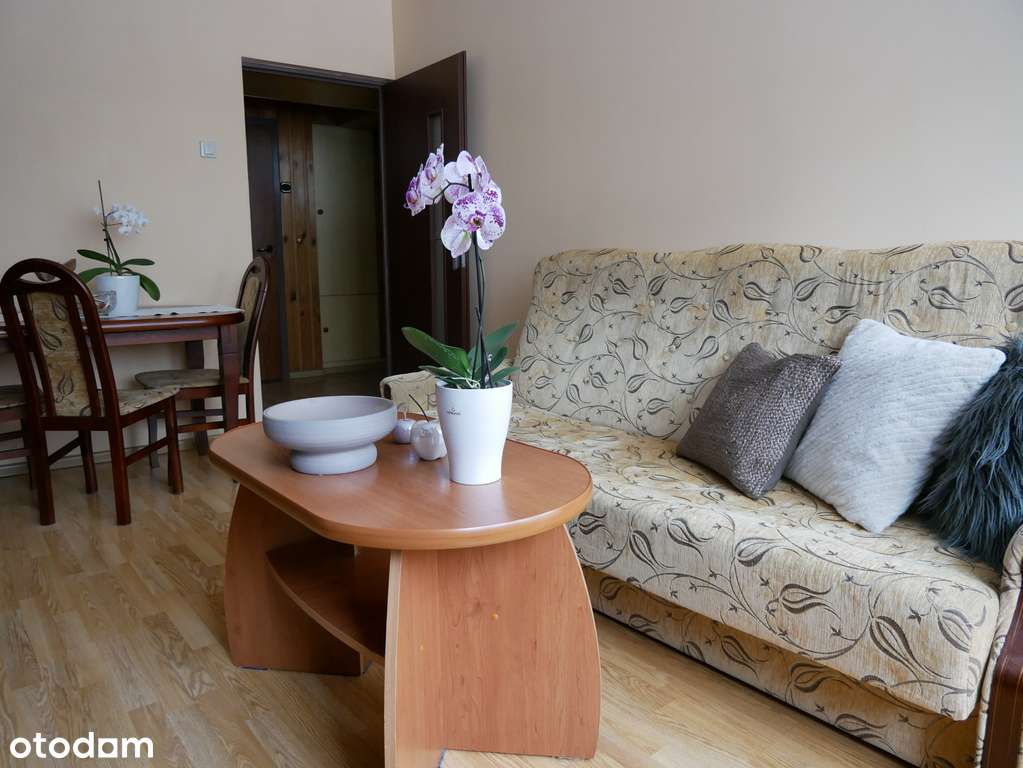 Dwupokojowe mieszkanie w centrum miasta Tychy-3