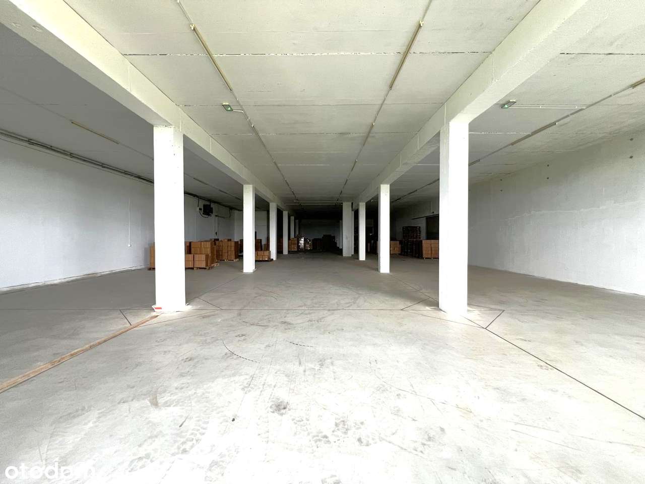 Hala 720 m2 na wynajem Jasionka przy lotnisku, Zaczernie 18zł/m2 - Pełny obrazek: 4/7