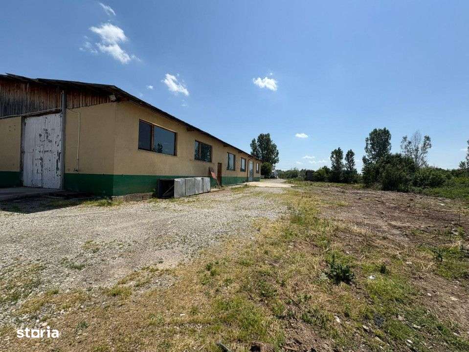 Complex industrial *hala 682 mp + teren 2,5 ha* - Tetila - Imagine principală: 3/10