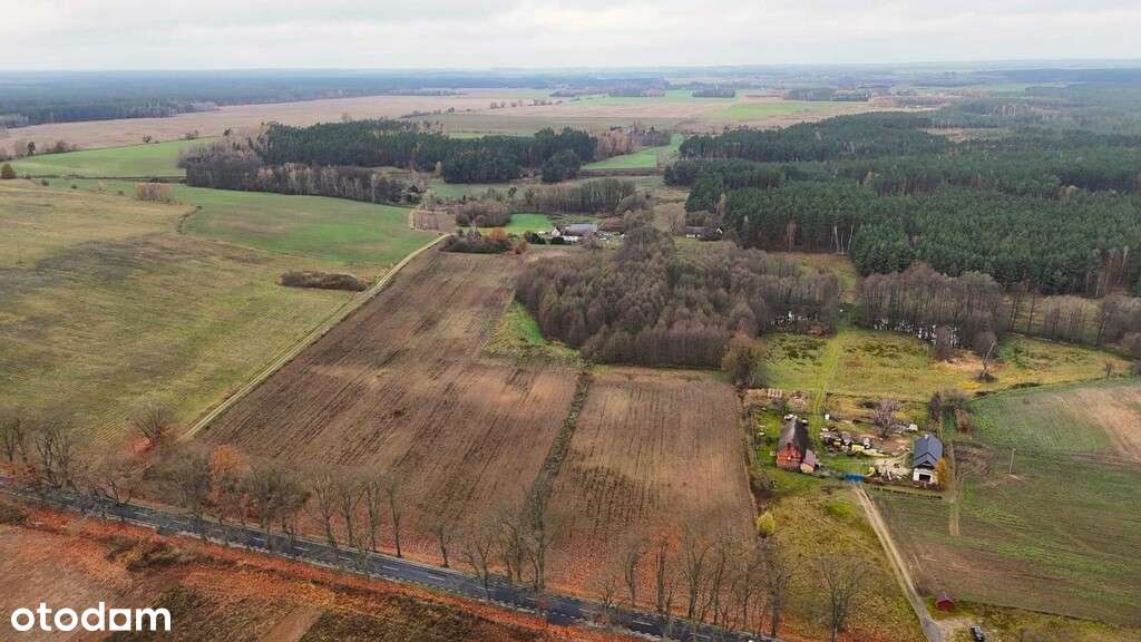 Na sprzedaż działki Wapniarnia Pierwsza Trzcianka - Pełny obrazek: 5/7