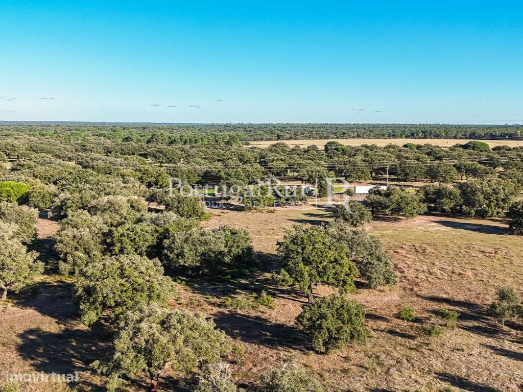 Herdade de 60 hectares para criação bovina e equina perto de Lisboa-57