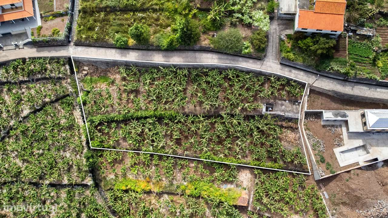 Terreno para construção 1946m2 - Arco da Calheta-5
