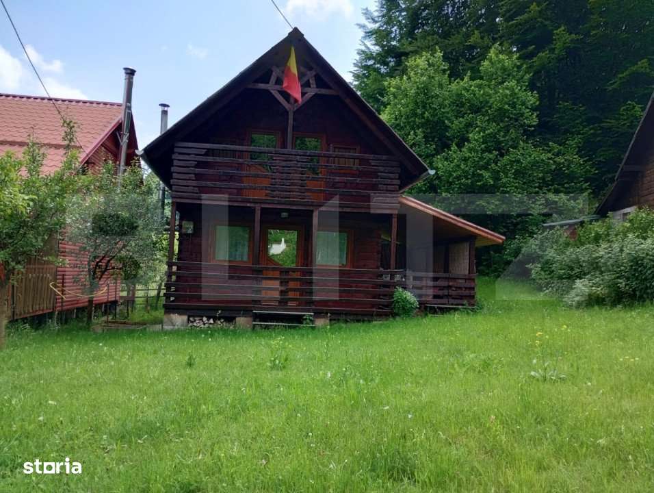 Casa de vacanta in Valea Inzelului – TRANSAPUSEANA, 459 mp totali. - Imagine principală: 3/14