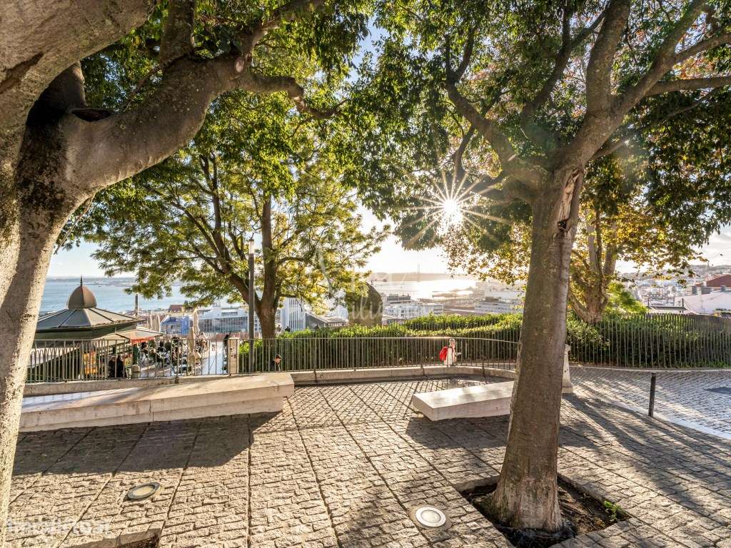 SANTA CATARINA APARTAMENTO DE LUXO T1-10