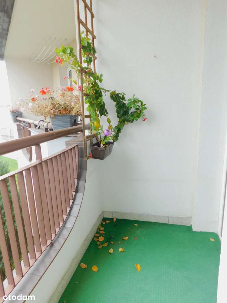 Dwupokojowe Mieszkanie w Pobliżu Centrum.-9