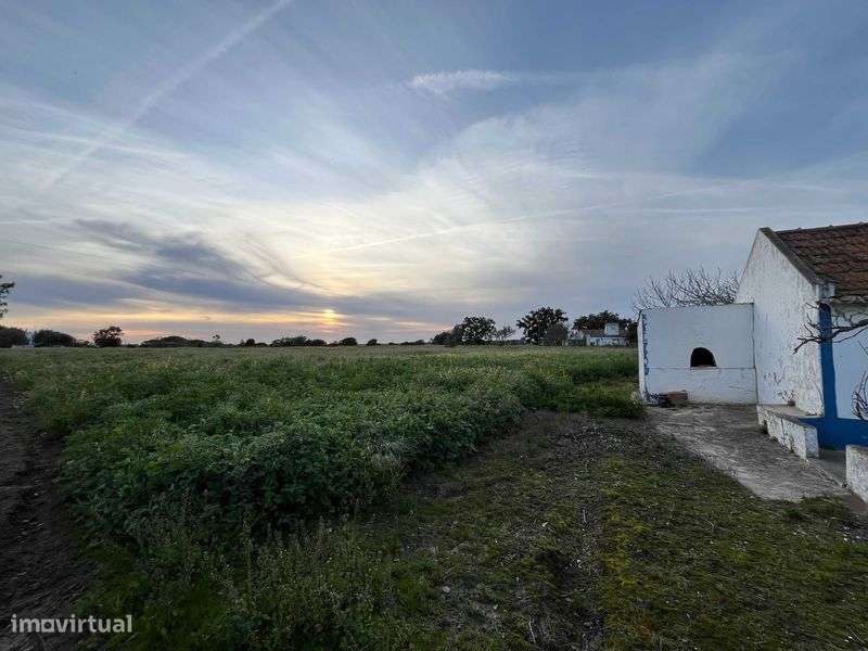 Terreno para venda 8713m2 em Pinheirinhos, Melides - Grande imagem: 4/6