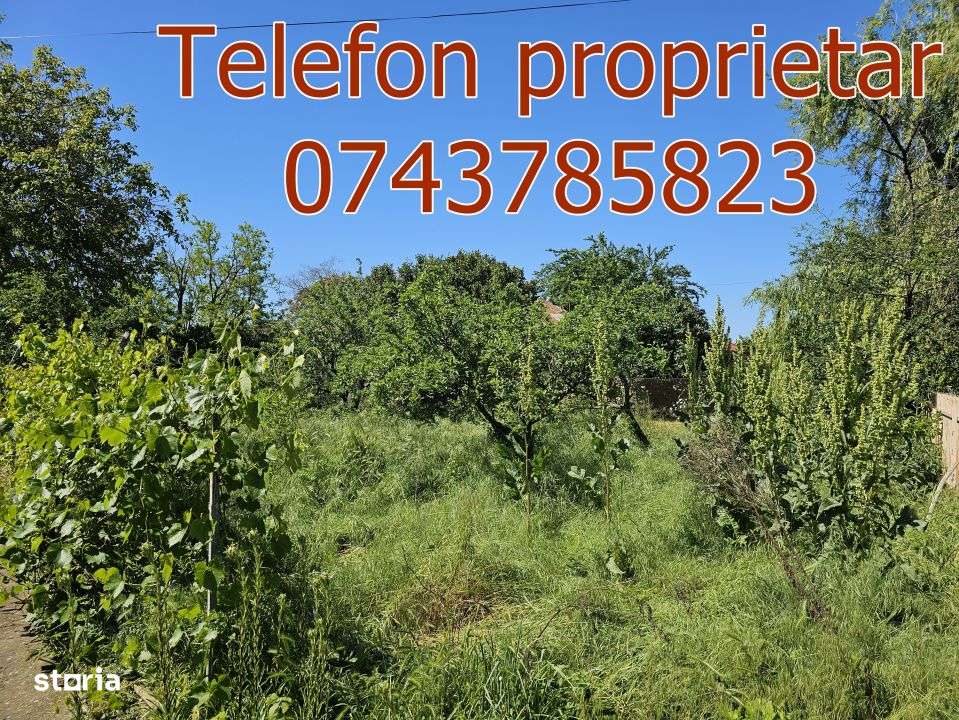 Casa cu teren generos in Ciulnita, judetul Ialomita-5