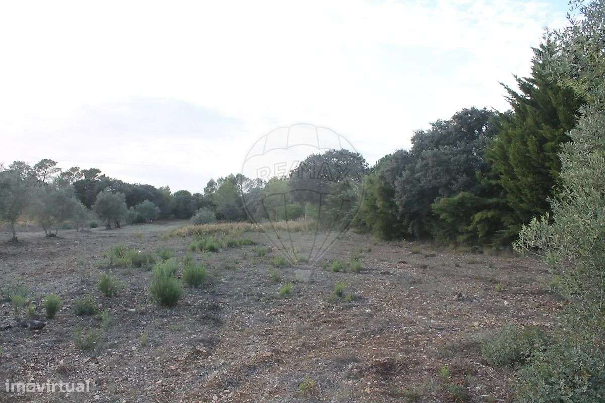 Terreno  para venda - Grande imagem: 4/15