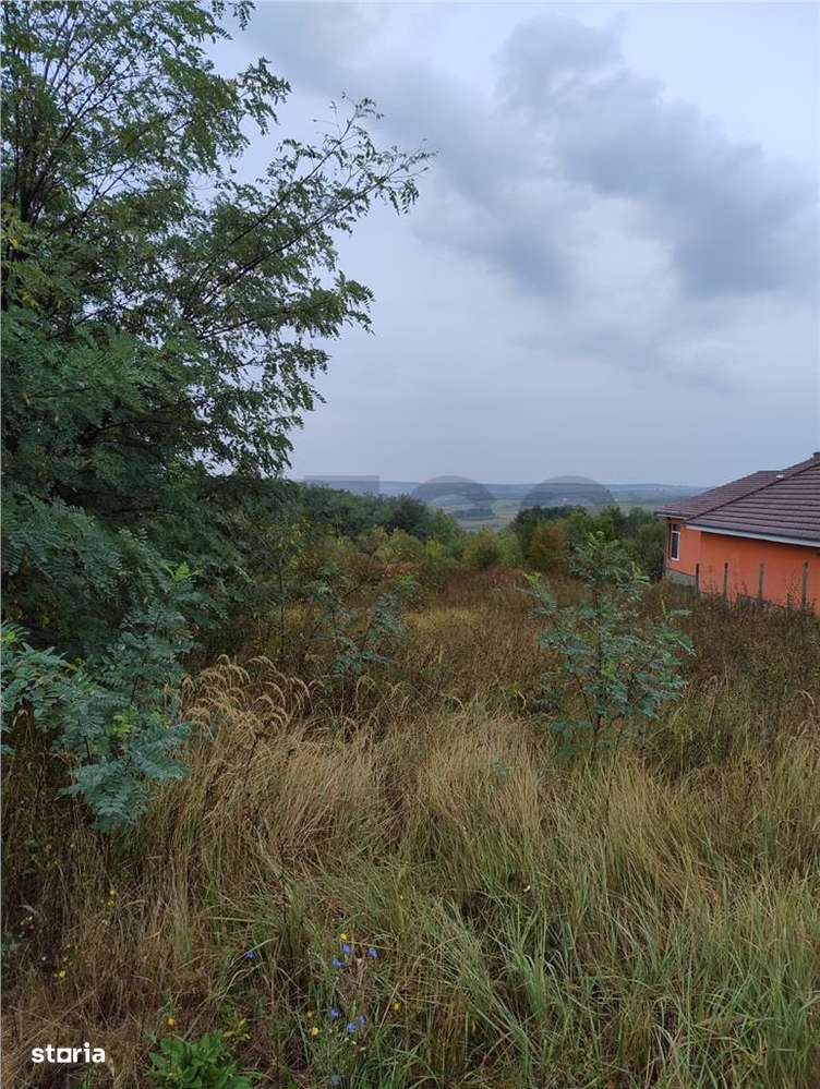 RECO Teren intravilan Lazareni - Imagine principală: 1/5