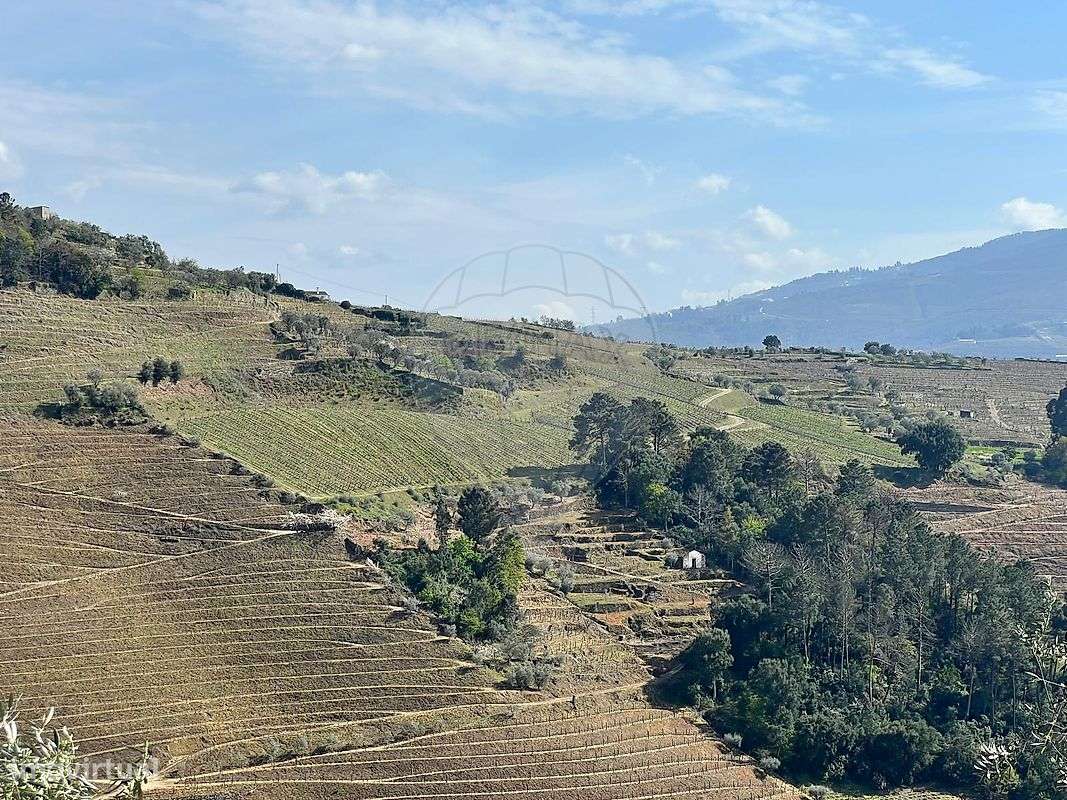 Terreno  para venda - Grande imagem: 4/4